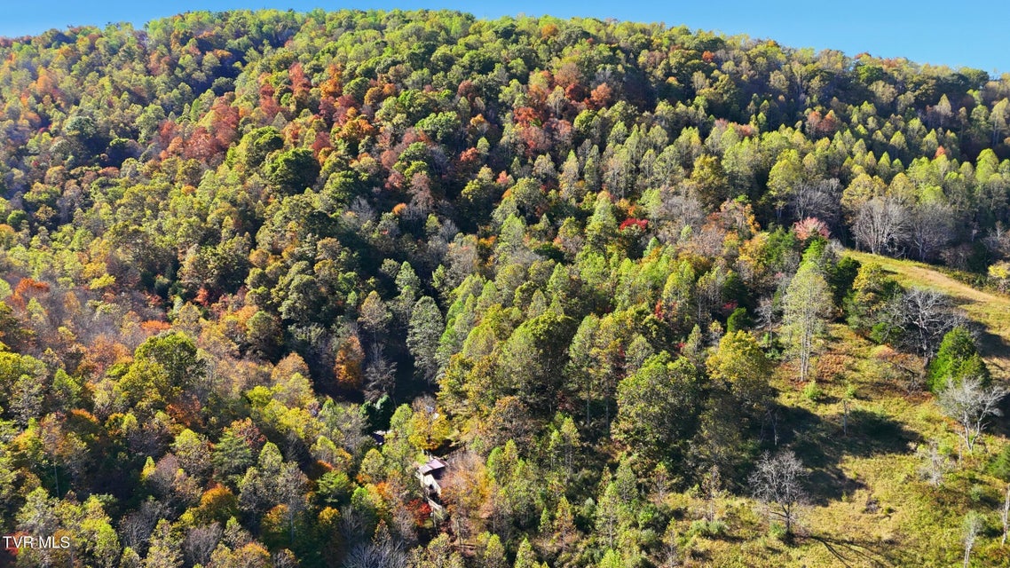 Photo #53: 200 Gunport Drive