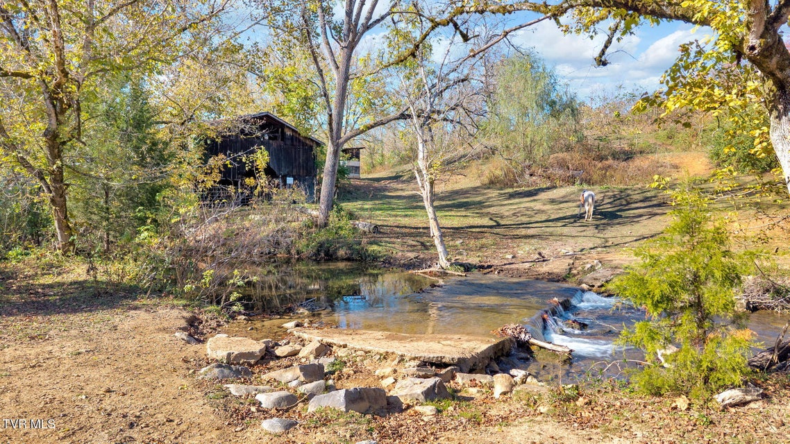 Photo #23: 3176 Highway 421