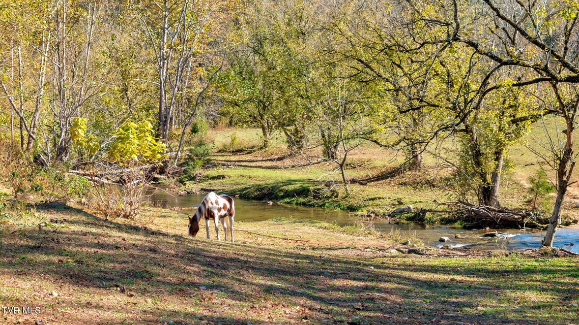 Photo #24: 3176 Highway 421