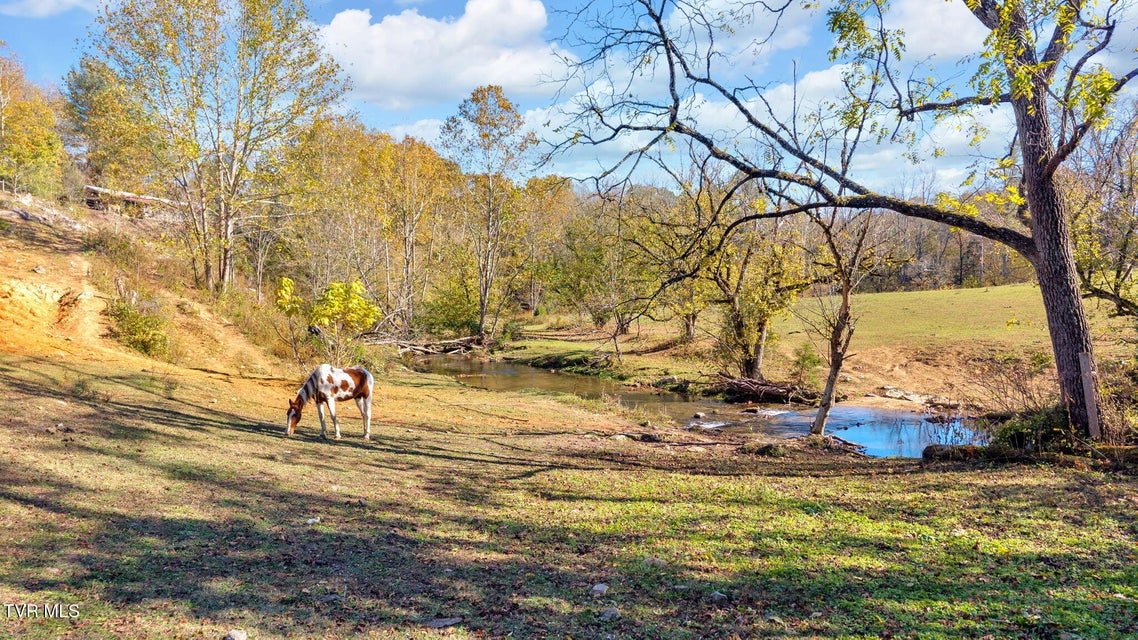 Photo #21: 3176 Highway 421