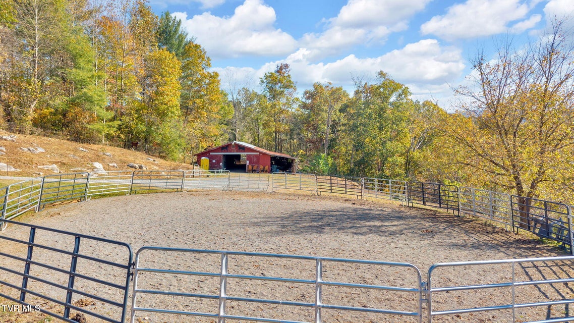 Photo #19: 3176 Highway 421