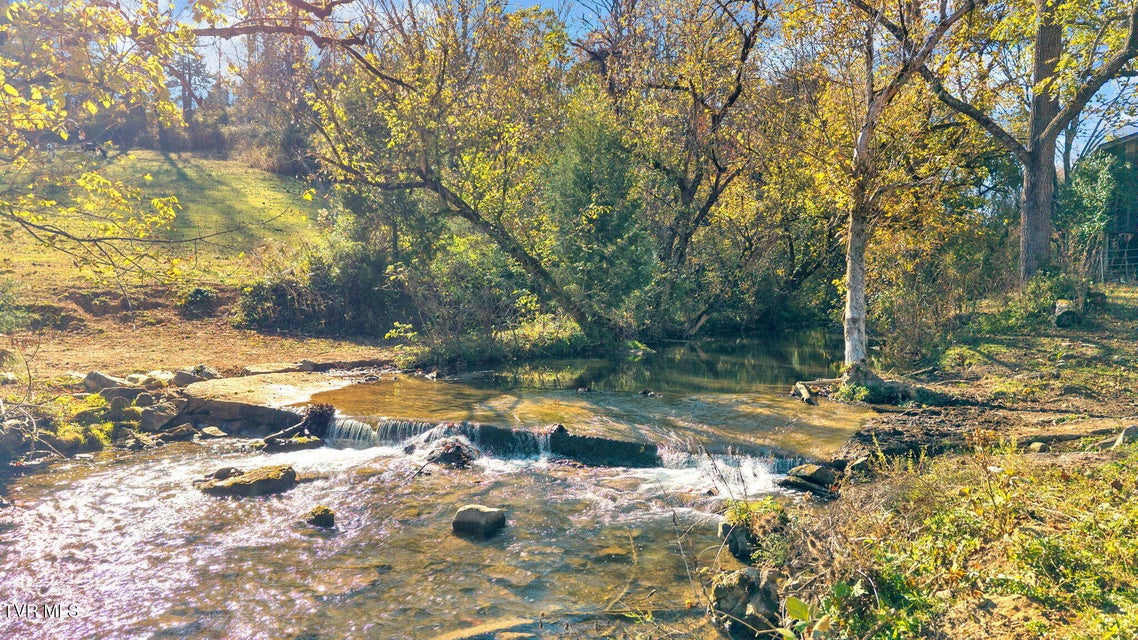 Photo #25: 3176 Highway 421