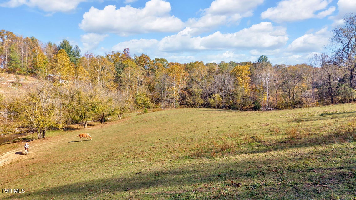 Photo #59: 3176 Highway 421