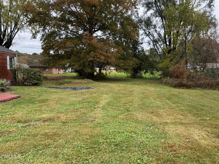 Photo #5: 123 Randolph Avenue