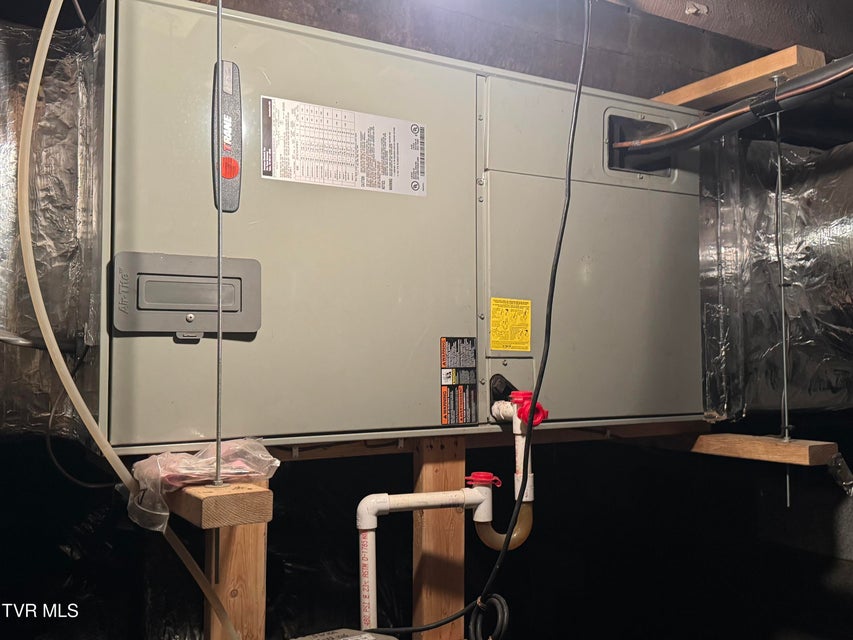 Photo #25: 123 Randolph Avenue