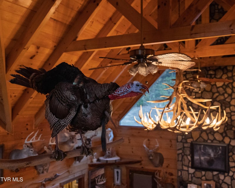 Photo #55: 397 Jennings Lane