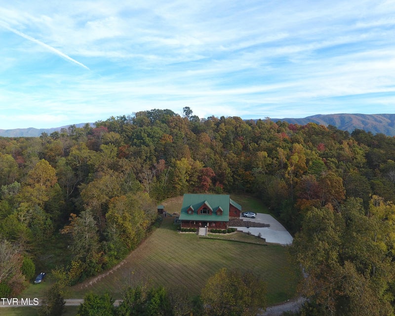 Photo #67: 397 Jennings Lane