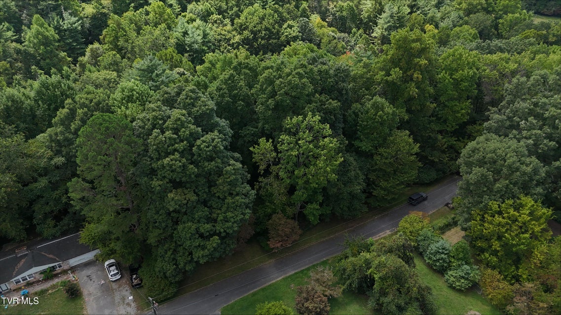 Photo #6: Tr 14 Pine Forest Lane