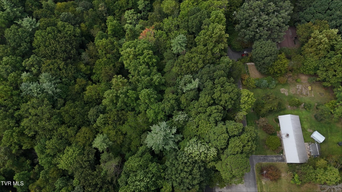 Photo #11: Tr 14 Pine Forest Lane