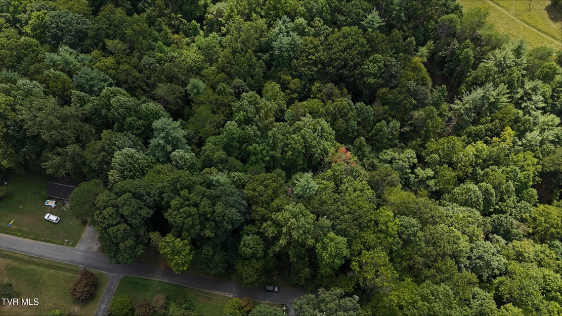 Photo #18: Tr 14 Pine Forest Lane