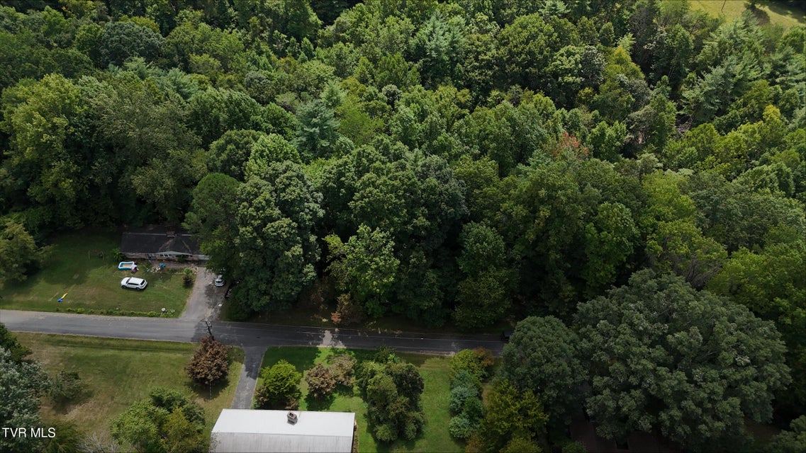 Photo #8: Tr 15 Pine Forest Lane