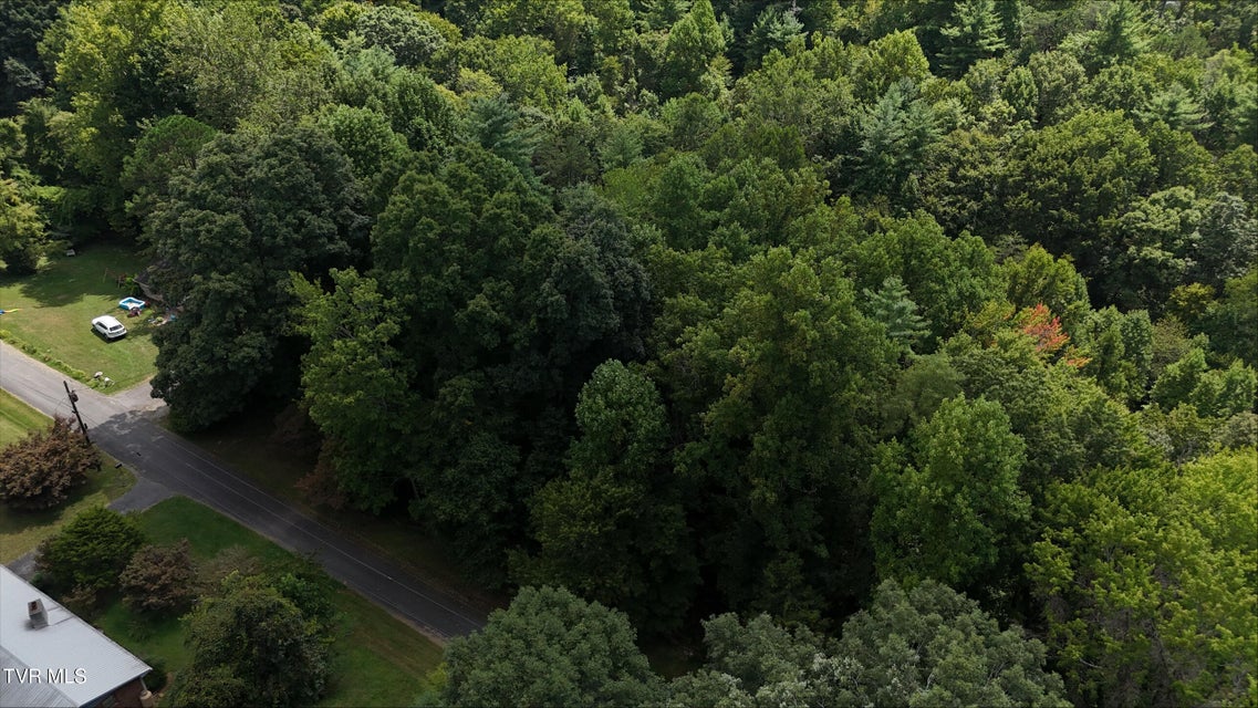 Photo #23: Tr 15 Pine Forest Lane