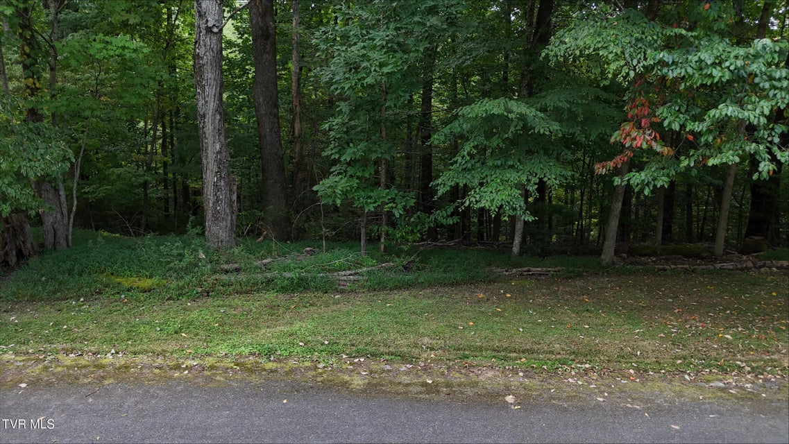 Photo #27: Tr 15 Pine Forest Lane