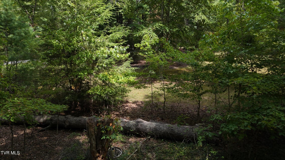 Photo #34: Tr 15 Pine Forest Lane