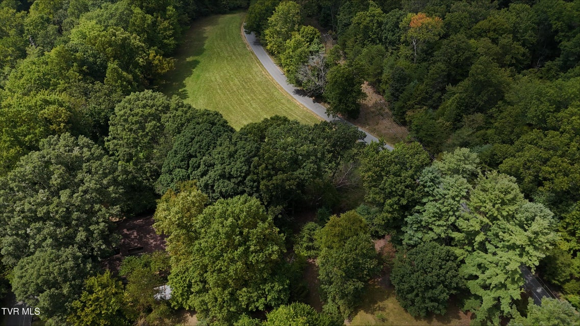 Photo #31: Tr 14 Pine Forest Lane