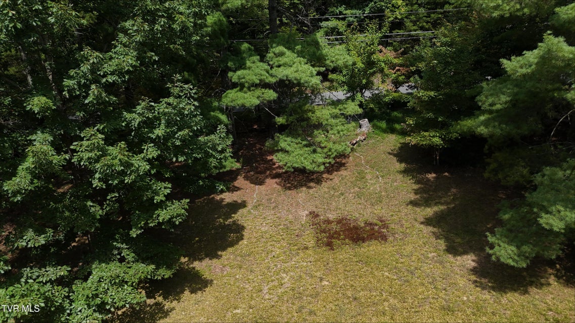 Photo #35: Tr 14 Pine Forest Lane