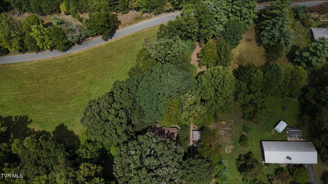 Photo #36: Tr 14 Pine Forest Lane