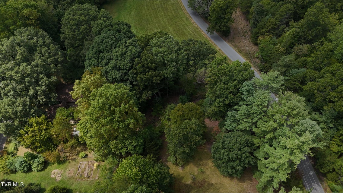 Photo #39: Tr 14 Pine Forest Lane