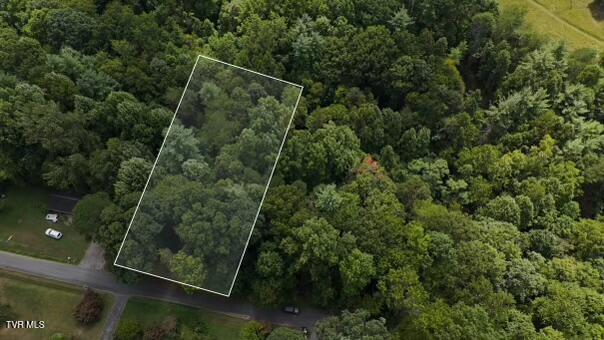 Photo #4: Tr 15.01 Pine Forest Lane