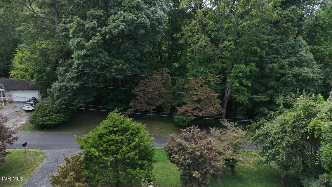 Photo #22: Tr 15.01 Pine Forest Lane