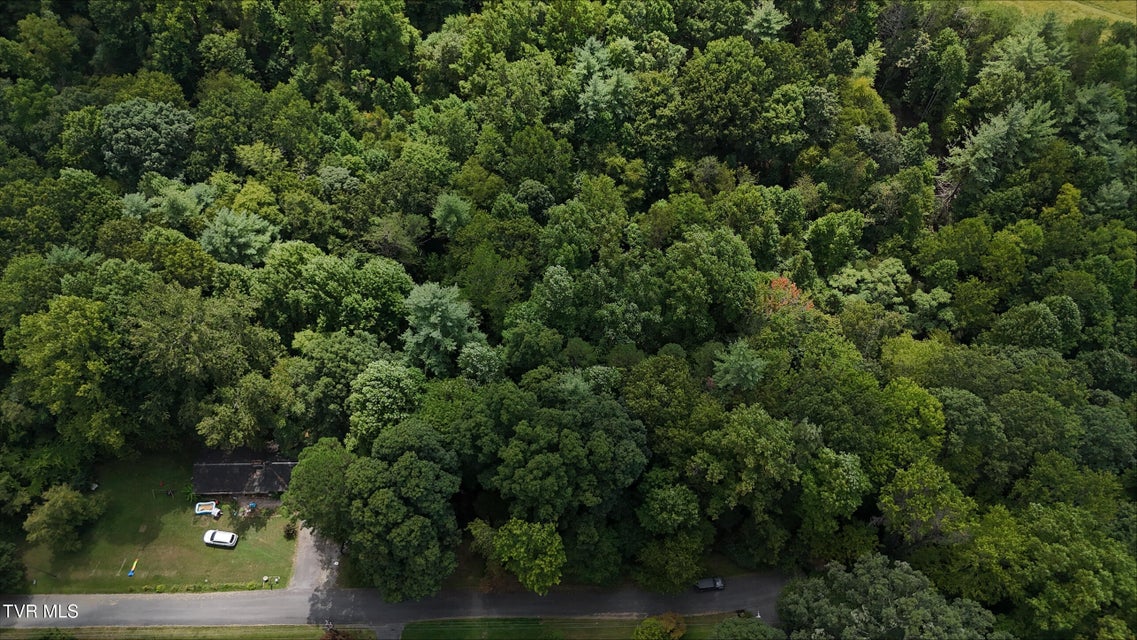 Photo #25: Tr 15.01 Pine Forest Lane