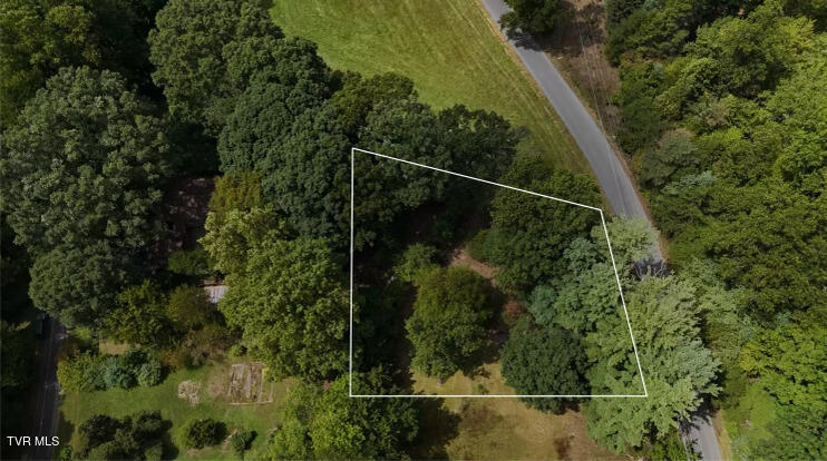 Photo #26: Tr 15.01 Pine Forest Lane