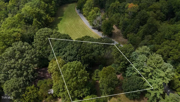 Photo #27: Tr 15.01 Pine Forest Lane