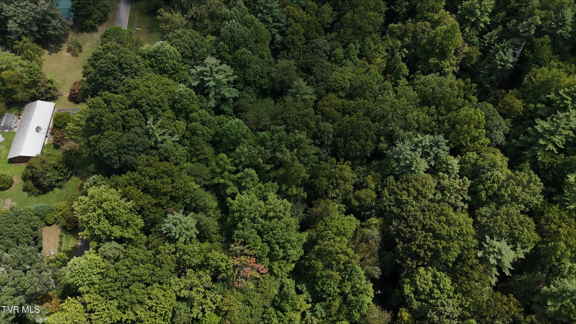 Photo #39: Tr 15.01 Pine Forest Lane