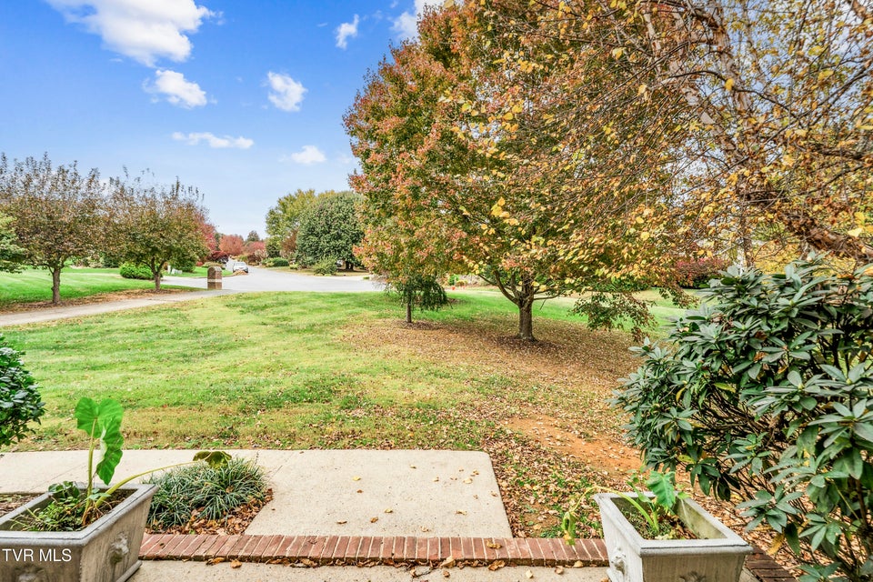 Photo #86: 9 Carriage Court