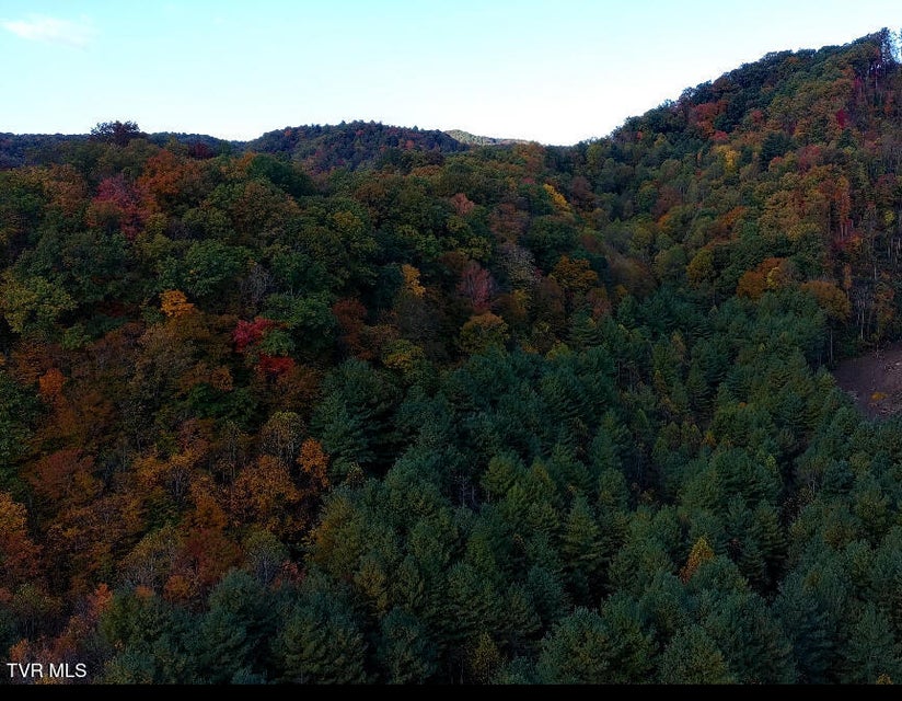 Photo #17: Tbd Orby Cantrell Highway