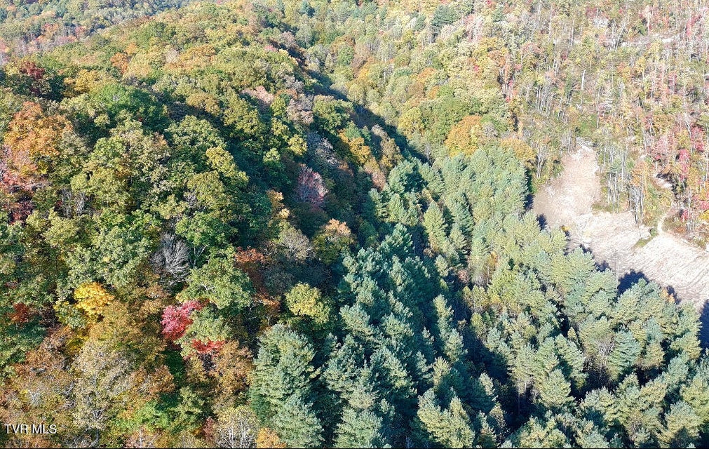 Photo #18: Tbd Orby Cantrell Highway