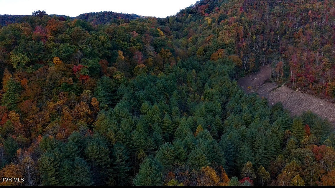 Photo #19: Tbd Orby Cantrell Highway