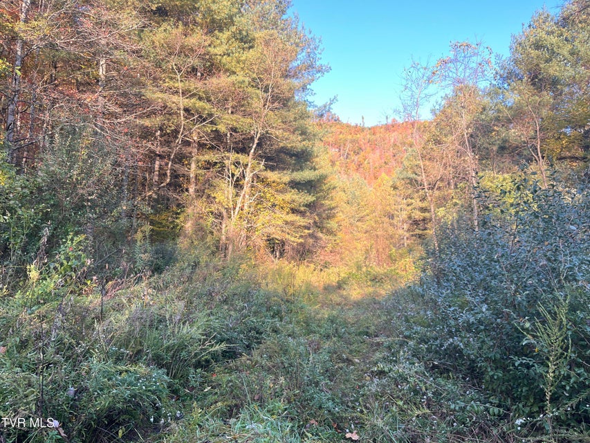 Photo #21: Tbd Orby Cantrell Highway