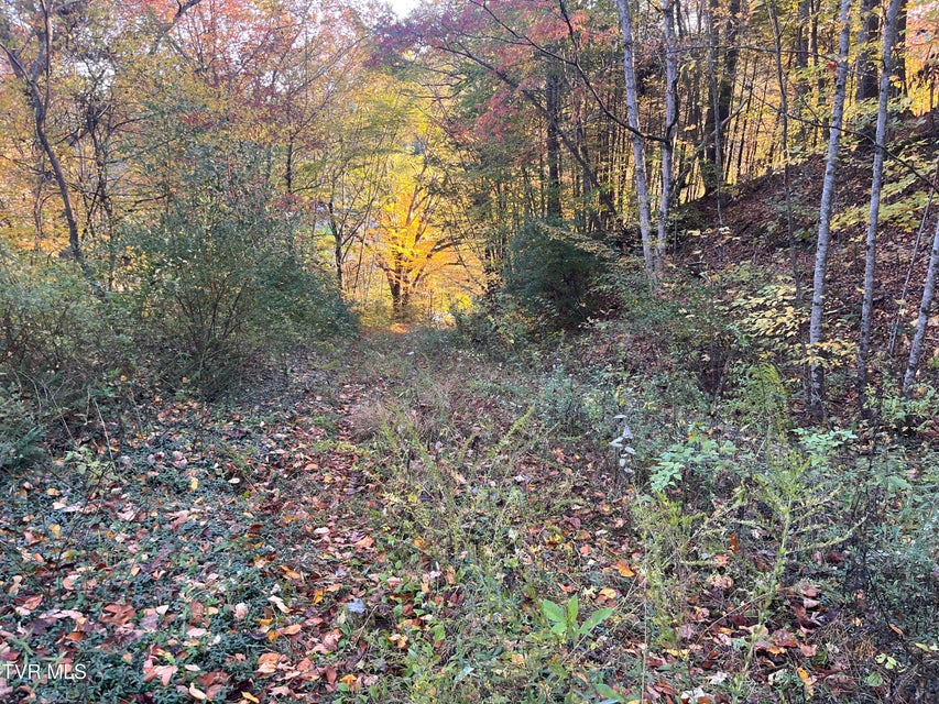 Photo #22: Tbd Orby Cantrell Highway