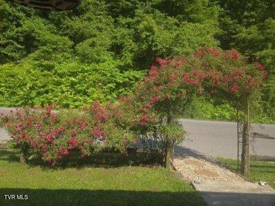 Photo #33: 2301 Monarch Road