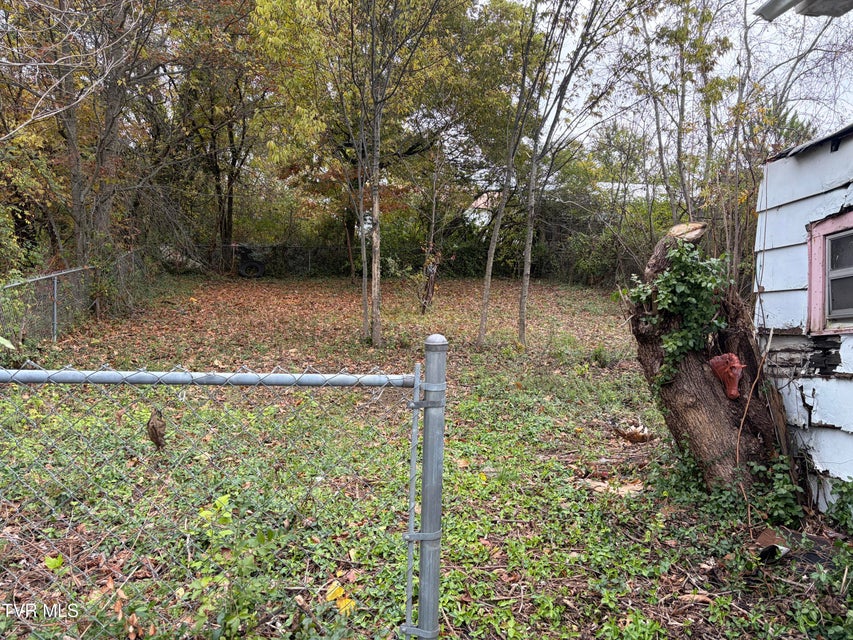 Photo #4: 706 Irish Street