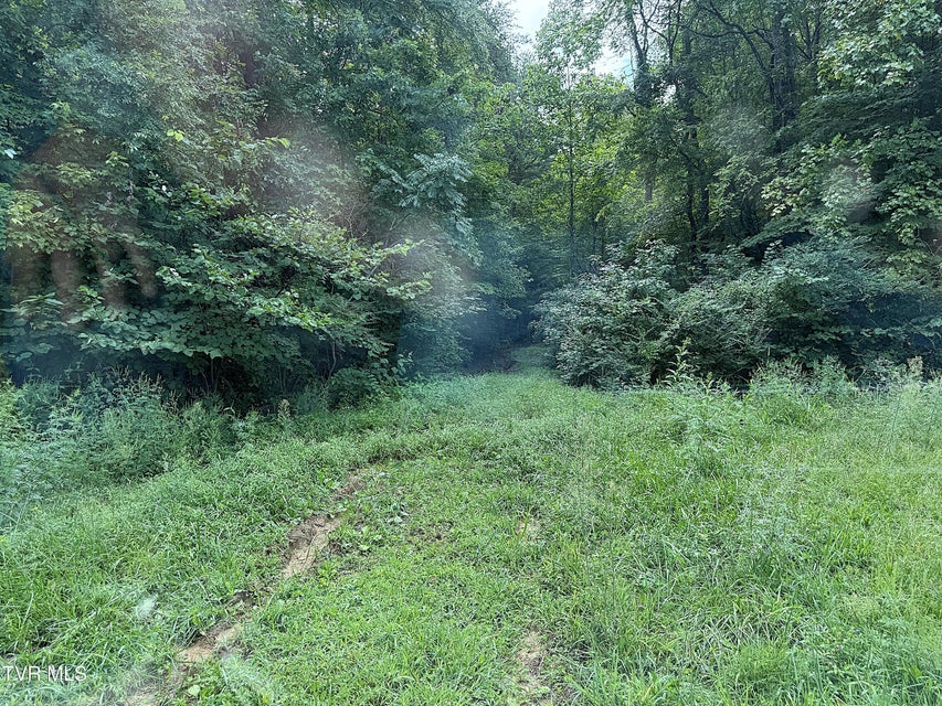 Photo #6: 6 Acres Trentham Rd Off 