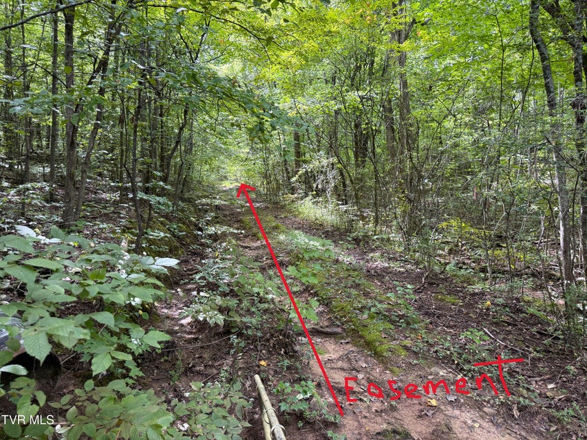 Photo #7: 6 Acres Trentham Rd Off 