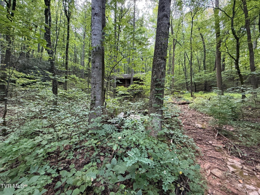 Photo #10: 6 Acres Trentham Rd Off 