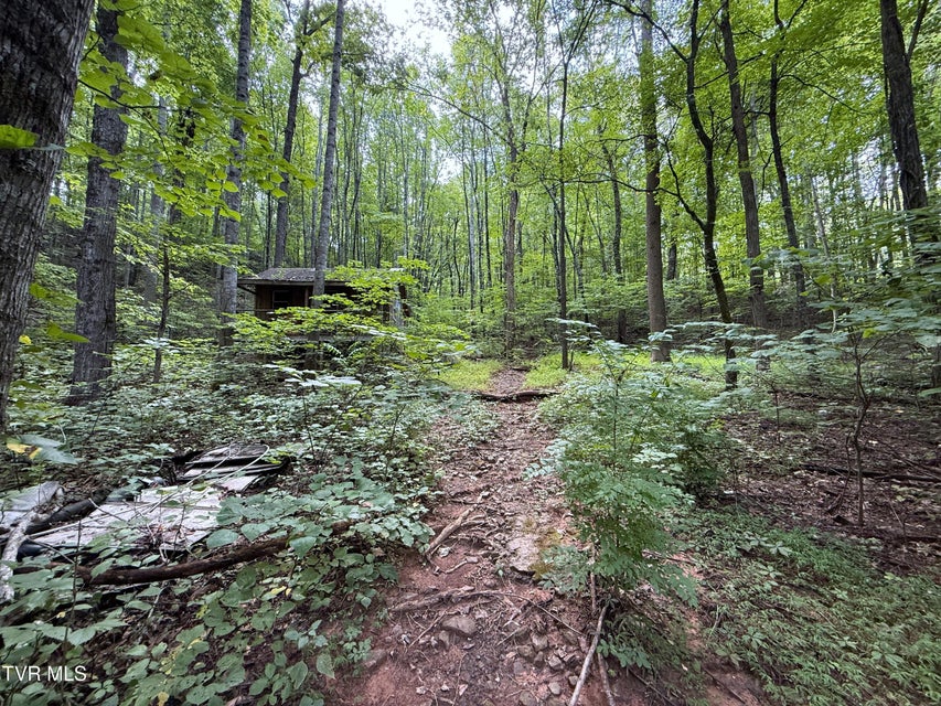 Photo #11: 6 Acres Trentham Rd Off 