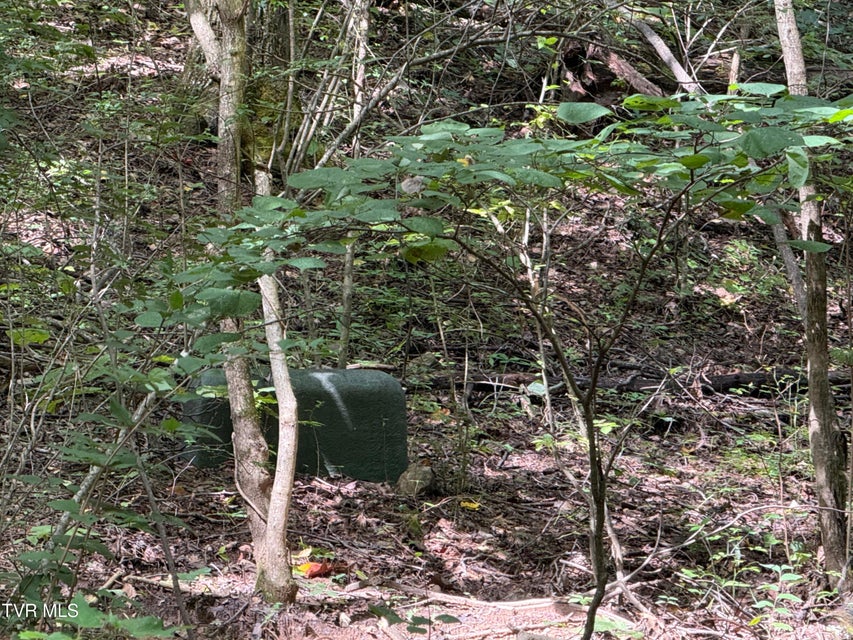 Photo #13: 6 Acres Trentham Rd Off 