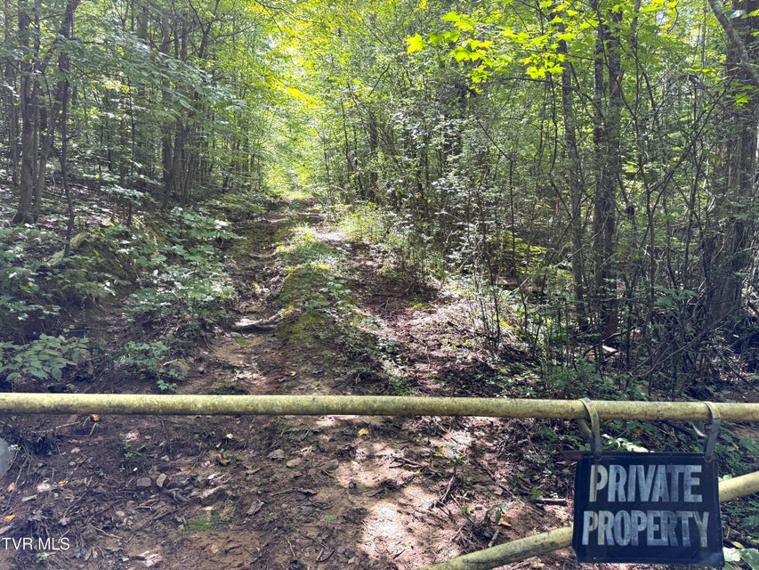 Photo #16: 6 Acres Trentham Rd Off 