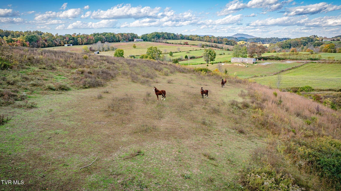 Photo #3: Tbd Teague Road