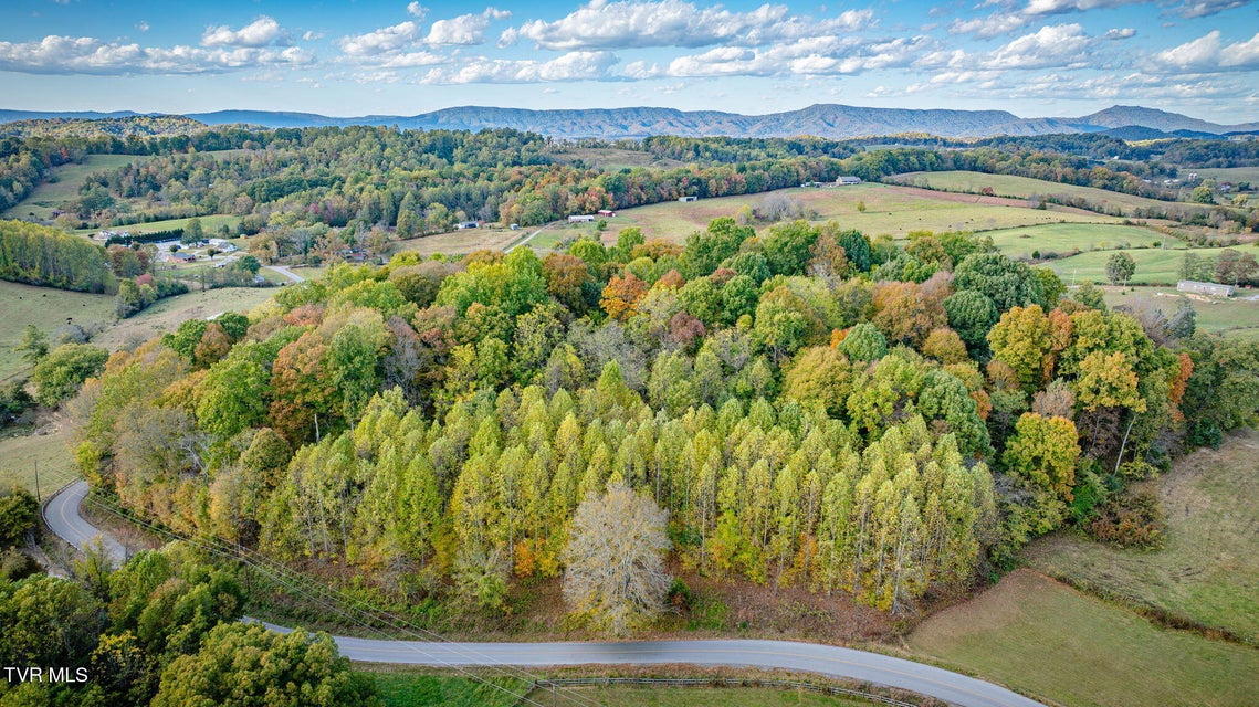 Photo #5: Tbd Teague Road