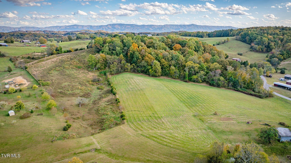 Photo #7: Tbd Teague Road