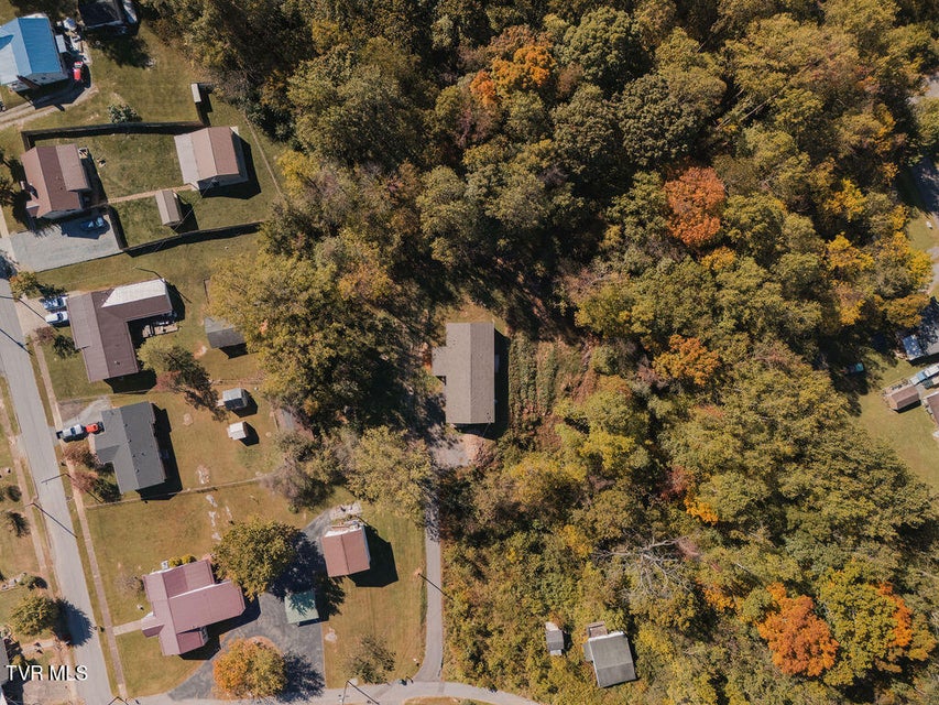 Photo #38: 1619 Fraley White Drive