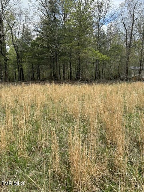 Photo #3: Lot 4 Laws Road