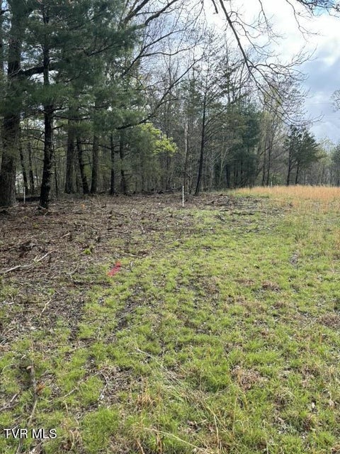 Photo #2: Lot 4 Laws Road