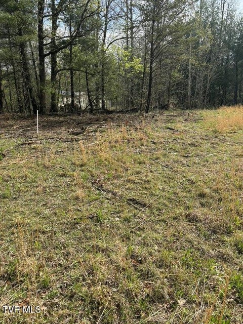 Photo #4: Lot 4 Laws Road