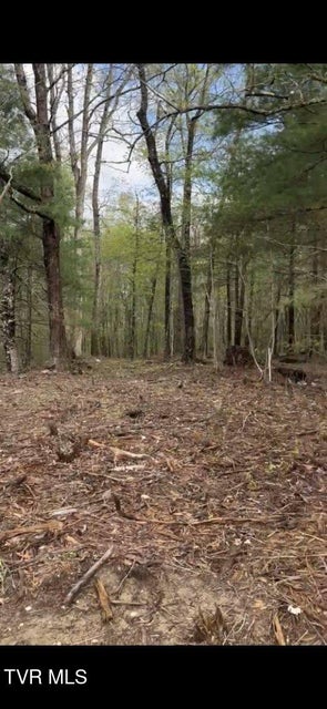 Photo #6: Lot 4 Laws Road